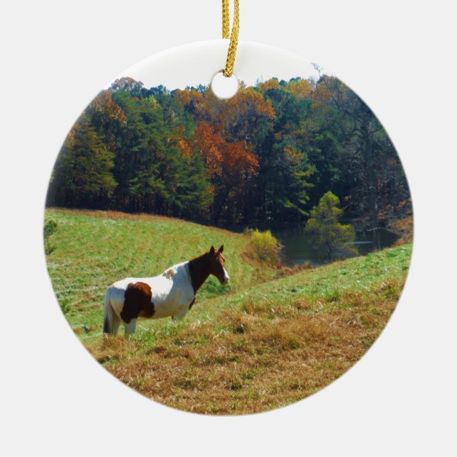 White & Brown horse, Autumn pond Ceramic Tree Decoration (Front)