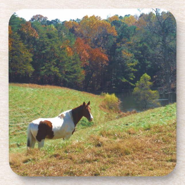 White & Brown horse, Autumn pond Coaster (Front)