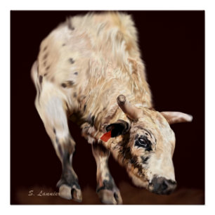 White Bucking Rodeo Bull Poster