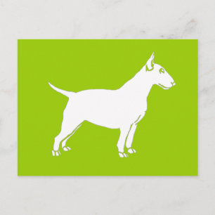 White Bull Terrier Postcard