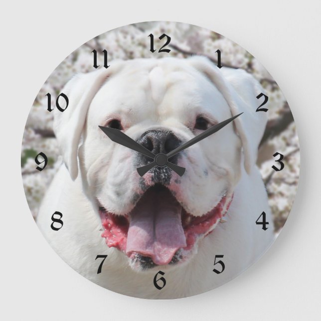 White bulldog face large clock (Front)
