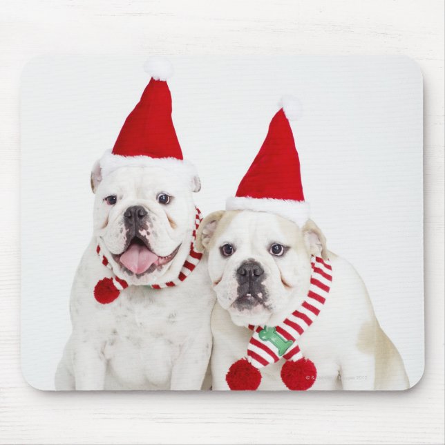 White bulldogs mouse pad (Front)