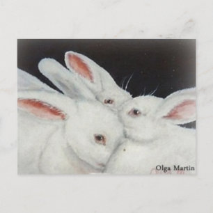 White Bunny Rabbit Postcard