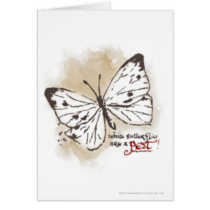 White Butterflies are a Pest