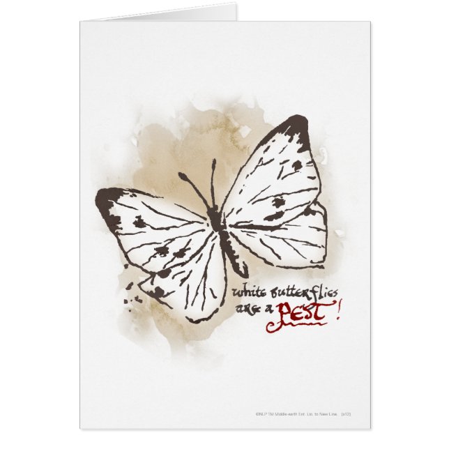White Butterflies are a Pest (Front)
