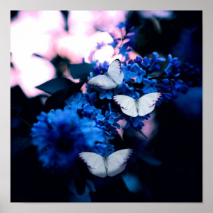 White Butterflies Blue Flowers, butterfly Poster
