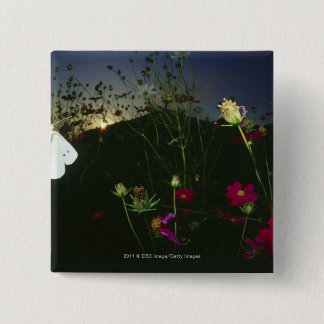 White Butterfly in flight at sunset 15 Cm Square Badge