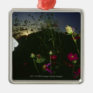 White Butterfly in flight at sunset Metal Tree Decoration
