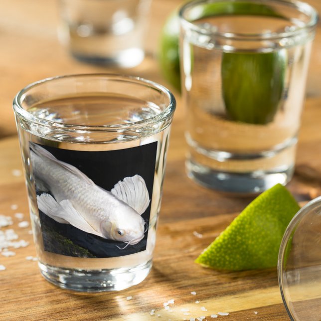 White Butterfly Koi Photo Shot Glass (In Situ)