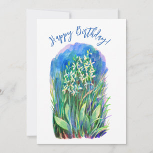 White butterfly orchid spring flower