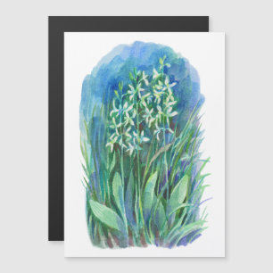 white butterfly orchid spring flower painting