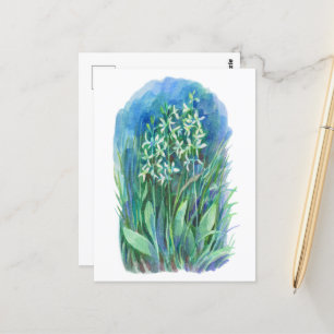 white butterfly orchid spring flower painting postcard