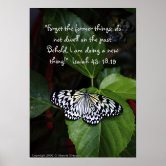 White Butterfly Poster