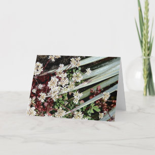 white cactus flower & leaf holiday card