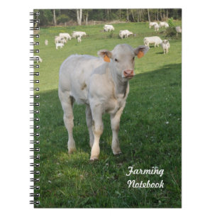 White calf farming notebook