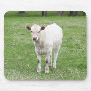 White Calf Mouse Pad