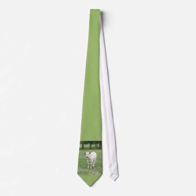 White Calf Tie (Front)