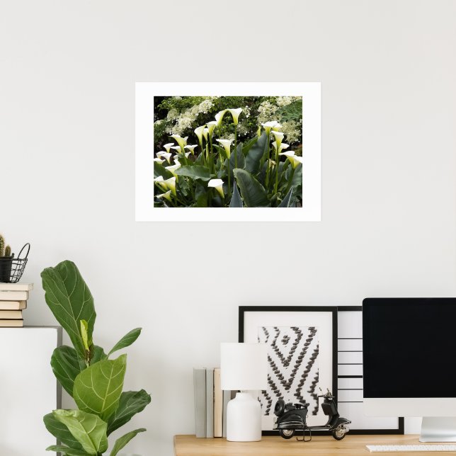 White Calla Lilies Floral Photographic Poster (Home Office)