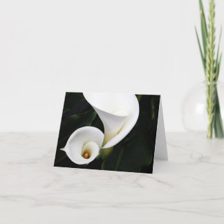 White calla Lillies Card
