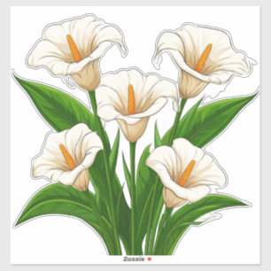 White Calla Lily Bouquet With Green Leaves