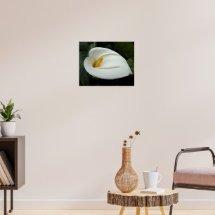White Calla Lily Floral Photographic Poster