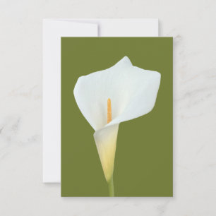 White Calla Lily Flower Backyard Garden Photo  Card