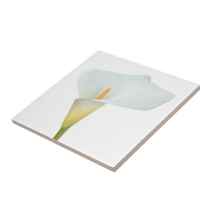 White Calla Lily Flower Backyard Garden Photo Tile