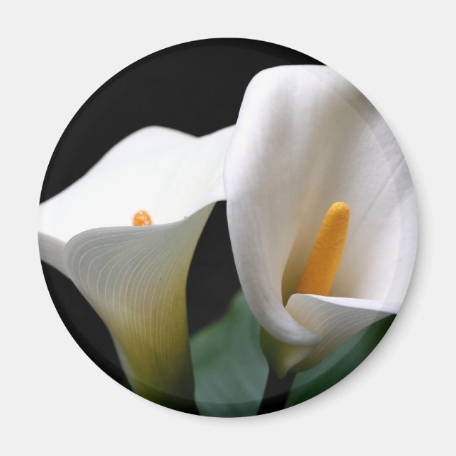 White Calla Lily Flower Round Magnet (Front)