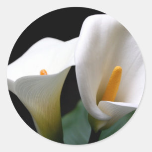 White Calla Lily Flower Sticker