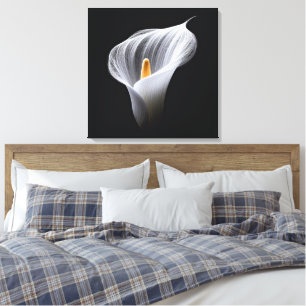 White Calla Lily On Black  Canvas Print
