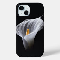 White Calla Lily On Black