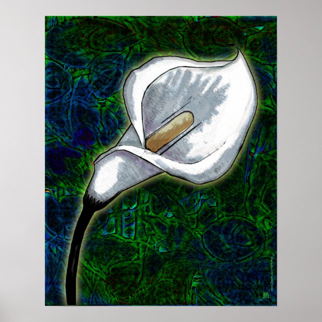 White Calla Lily (Semi-Gloss Poster) Poster (Front)