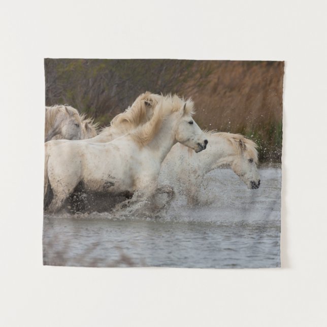 White Camargue Horses Running in Water Tapestry (Front (Horizontal))