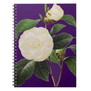 White Camellia, 1833 Spiral Notebook
