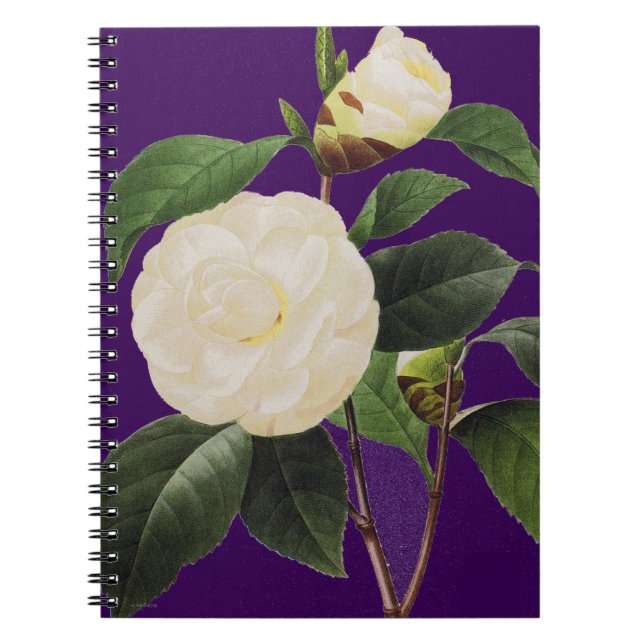 White Camellia, 1833 Spiral Notebook (Front)