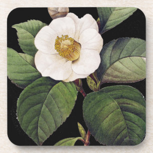 White Camellia Coaster