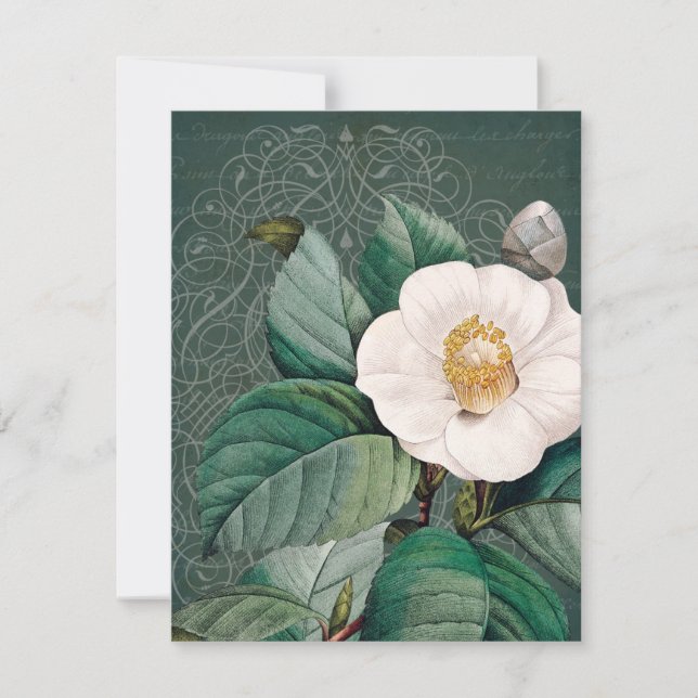 White Camellia Flat Greeting Card (Front)