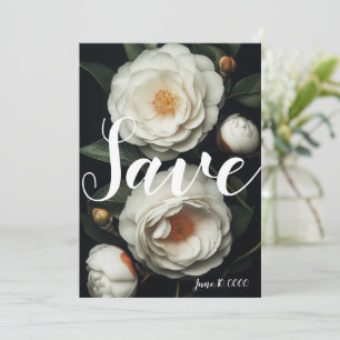 White camellias on a dark background