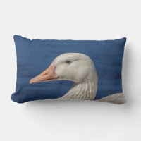 White Canadian Goose