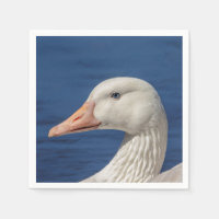 White Canadian Goose
