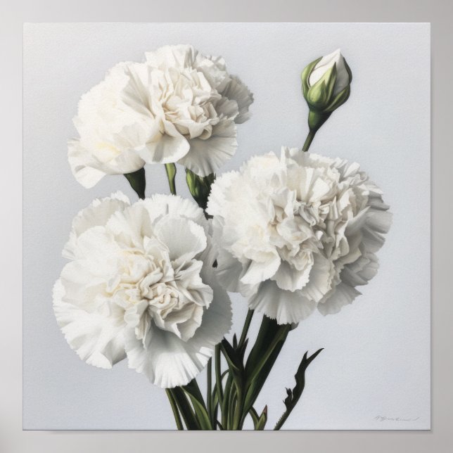 White Carnations Flower Art Print Poster (Front)