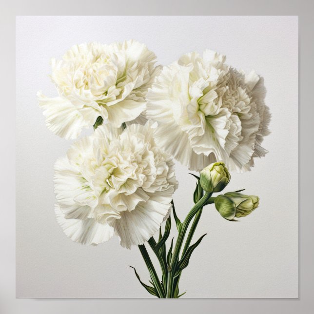 White Carnations Flower Art Print Poster (Front)