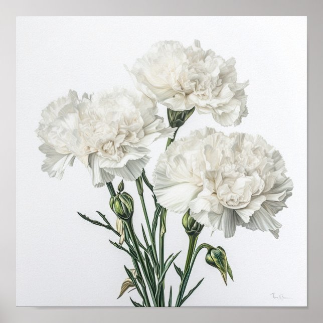 White Carnations Flower Art Print Poster (Front)