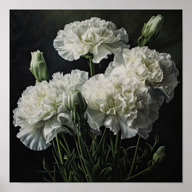 White Carnations Flower Art Print Poster (Front)