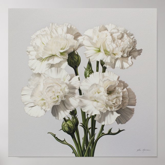 White Carnations Flower Art Print Poster (Front)