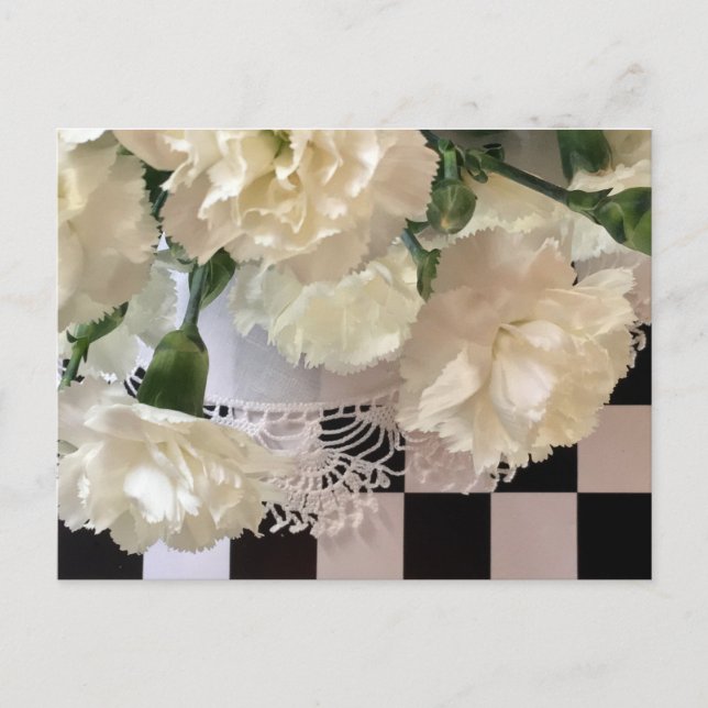 White Carnations Postcard (Front)