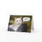 White Cat Birthday Humour Card