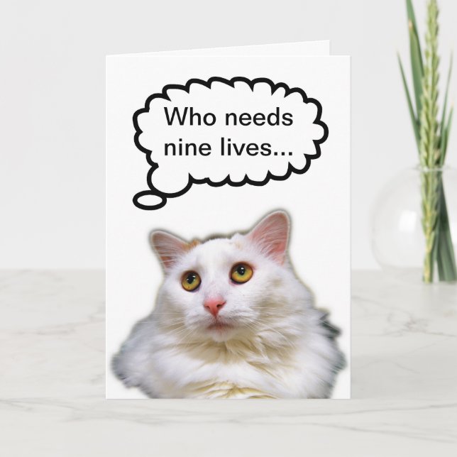 White Cat Birthday Nine Lives Card (Front)
