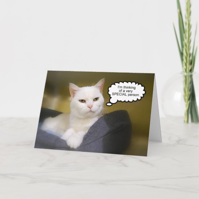 White Cat Brother Birthday Humour Card (Front)