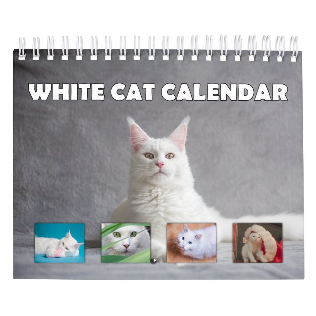 White Cat Calendar (Cover)